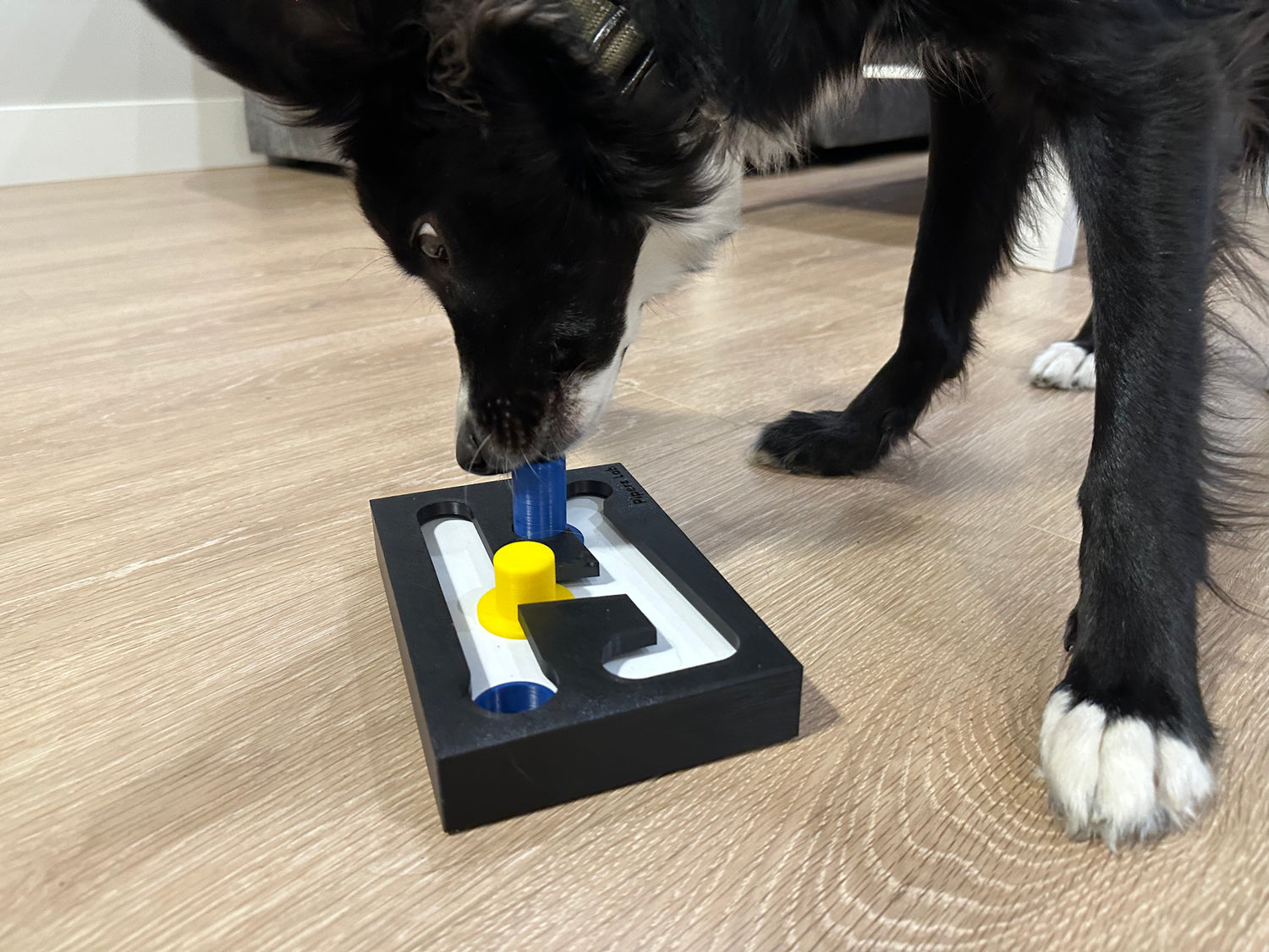 Beginner Dog Puzzle Toy, Level 1 Activity, Treat Puzzle