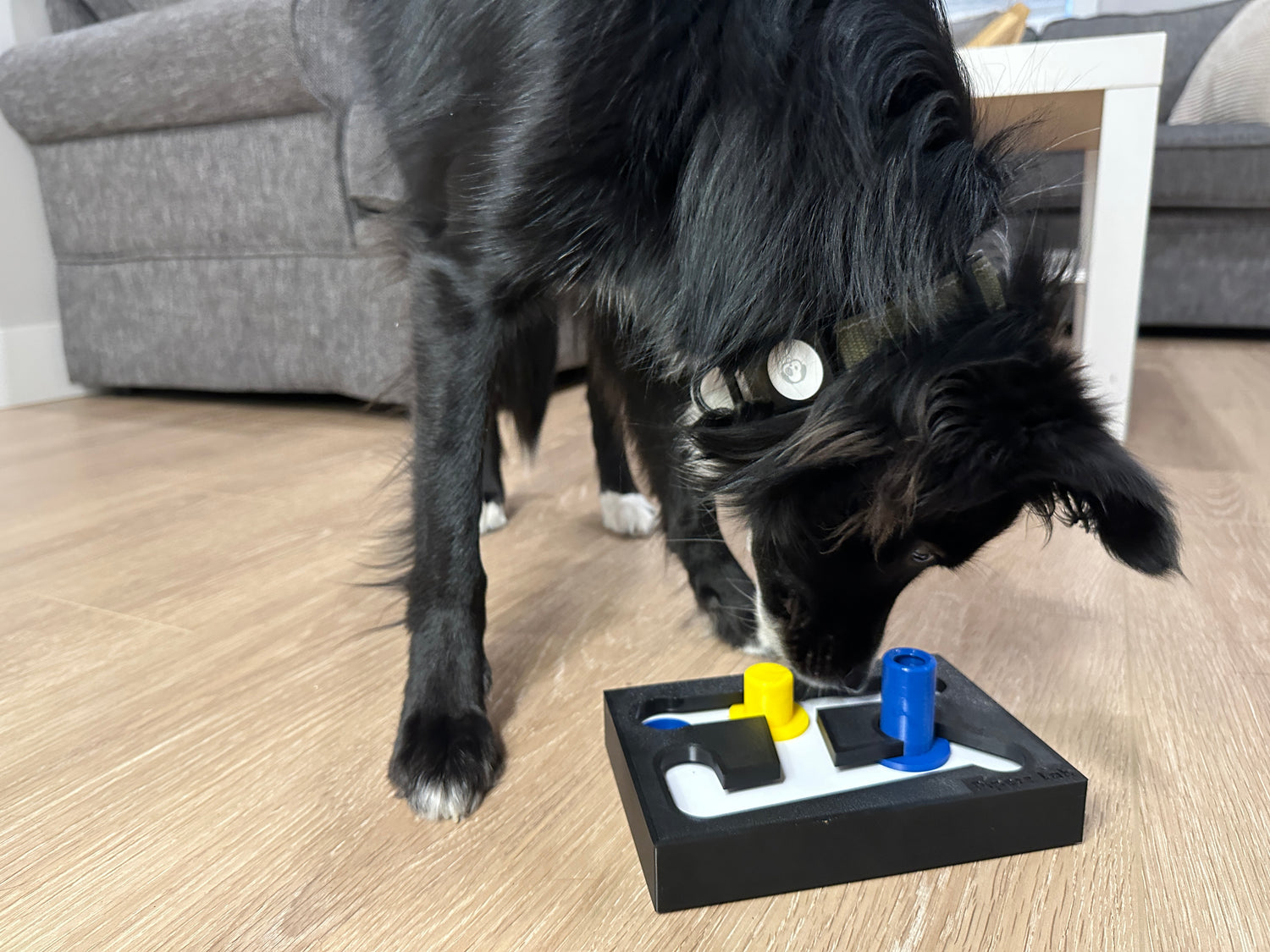 Iq-boosting Interactive Dog Puzzle Toys - Stimulate Your Dog's