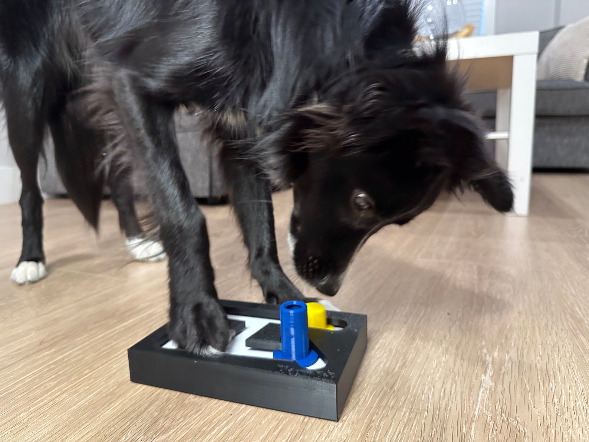 Dog Puzzle Toy Dogs Brain Stimulation Maze Toys Beginner Puppy