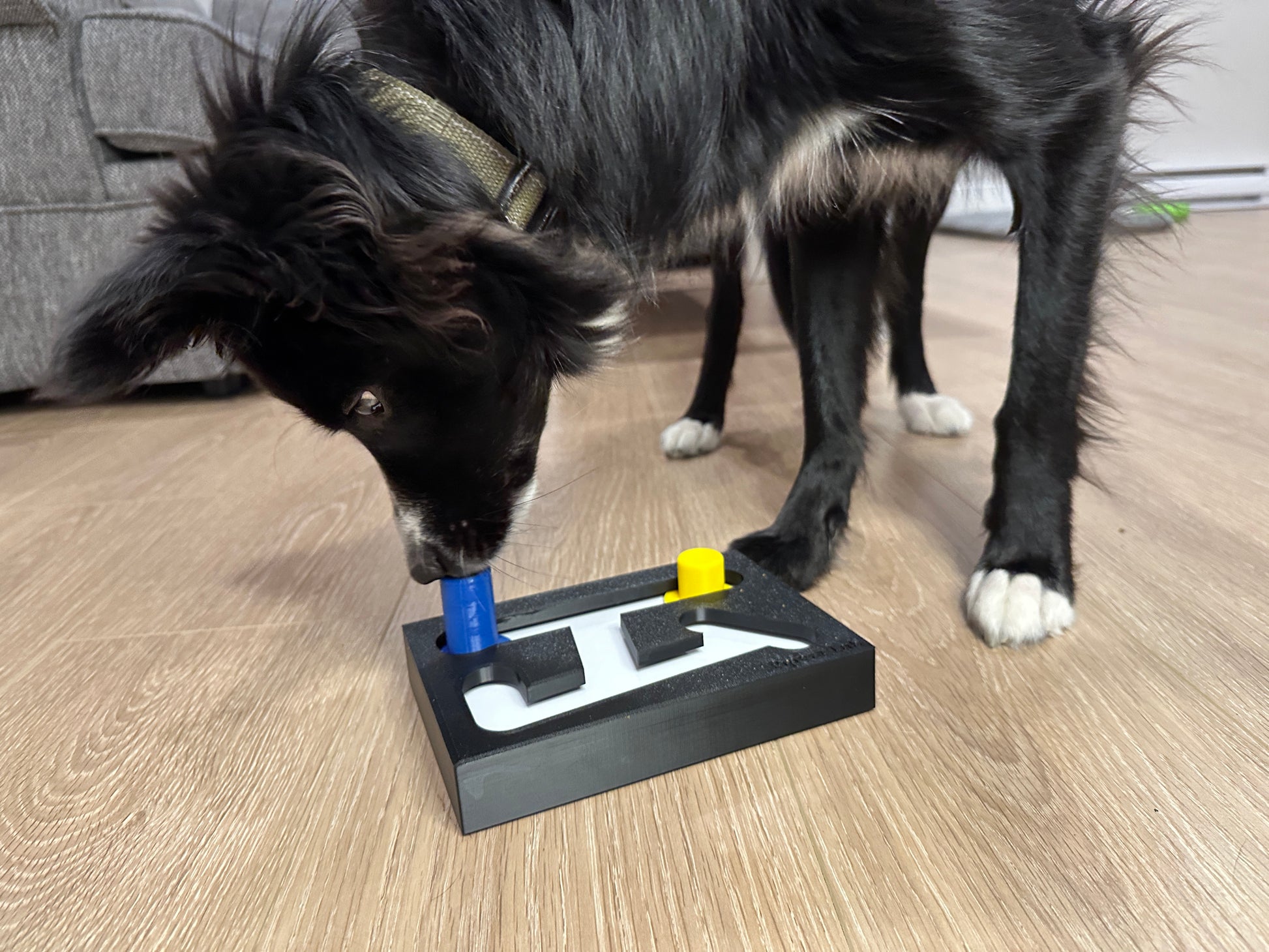 Dog Puzzle Toy Dogs Brain Stimulation Maze Toys Beginner Puppy